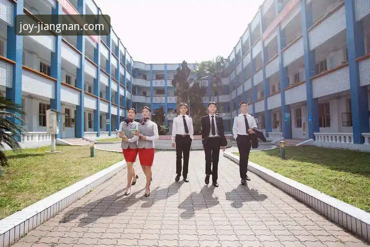 江南体育平台功能详解最新动态：新手必看的全方位操作指南