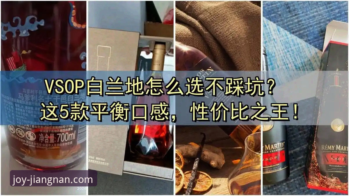 江南体育提现体验全面对比：老玩家实测数据与新手避坑指南